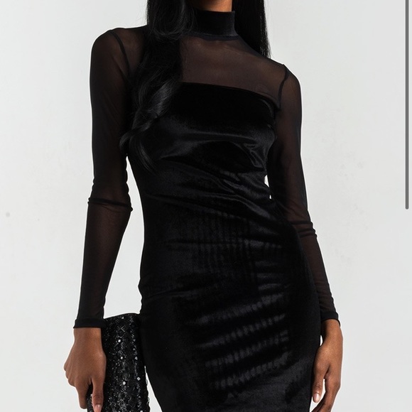 AKIRA Dresses & Skirts - Akira Best In Show Velvet Mesh Dress